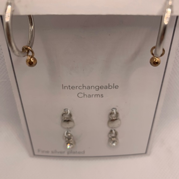 Gold and Silver Interchangeable Earrings Set with Charms - Picture 6 of 8